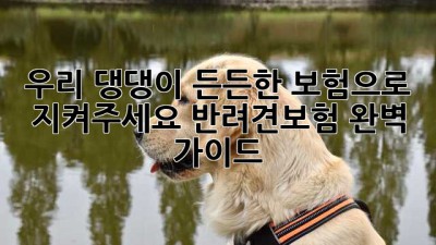 우리 댕댕이, 든든한 보험으로 지켜주세요! 반려견보험 완벽 가이드
