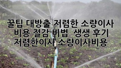 📦 꿀팁 대방출! 저렴한 소량이사, 비용 절감 비법 & 생생 후기 #저렴한이사 #소량이사비용